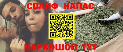 стафф Пенза