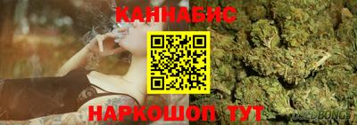 стафф Пенза