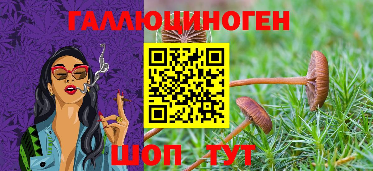 Галлюциногенные грибы MAGIC MUSHROOMS  Псилоцибиновые грибы мицелий  Вход с VPN  Ржев 